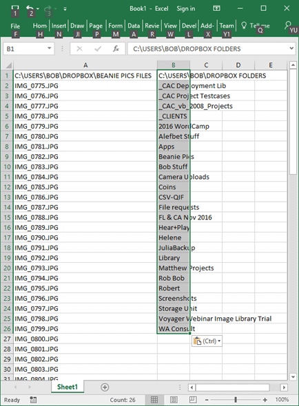 Figure 2: Spreadsheet Columns pasted from the program